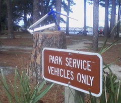 Cuted Denaly frame in a Park.JPG