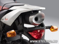 stels-trigger-50-sm-01.jpg