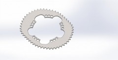 Oval Chainring 005.JPG