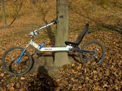 Recumbent LWB 09.jpg