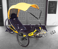 yellow-recumbent.jpg