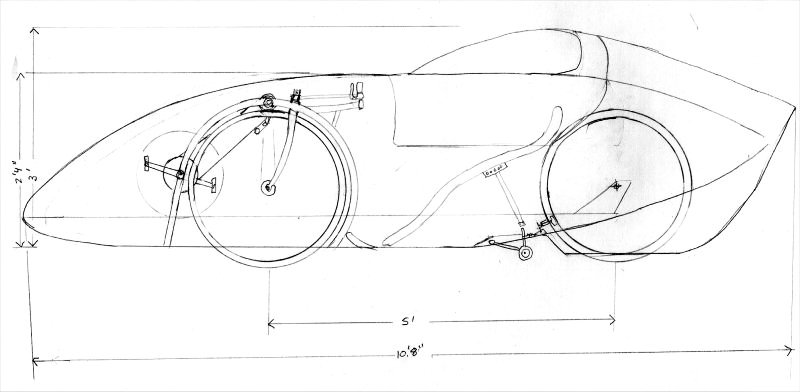 Barracuda_drawing.jpg