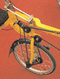 wannee_tandem2.jpg