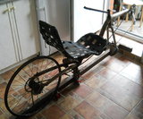 DSCN4928_recumbent.jpg