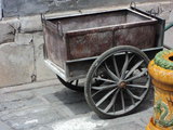 DSC00507_resize.JPG