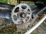 DSCN5178m.jpg