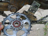 DSCN5602m.jpg
