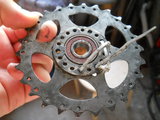 DSCN5607m.jpg