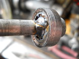 DSCN5831m.jpg