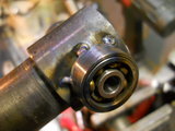 DSCN5856m.jpg