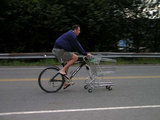 Cart-Bike.jpg