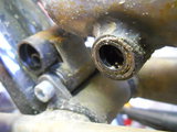 DSCN7638m.jpg
