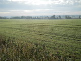DSCN7911m.jpg