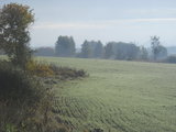 DSCN7920m.jpg