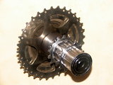 DSC08981.JPG