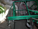 P1000755.JPG