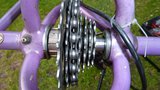 P1020478 rsz.jpg