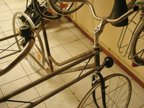 DSC08520+01.jpg