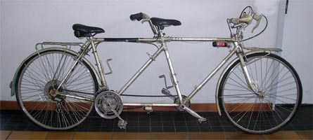 t008.jpg