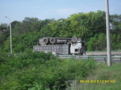 SDC18048.JPG