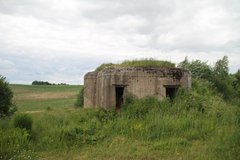 IMG_6557.JPG