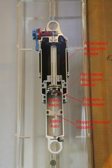 eb07foxshox03.jpg
