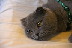Балтийский берег 009.JPG