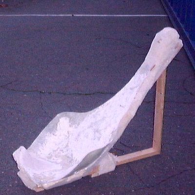 06.jpg