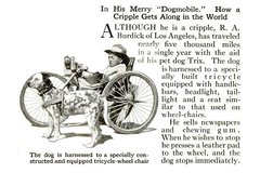 dogmobile.JPG