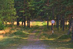 Балтийский берег 047.JPG