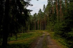 Балтийский берег 304.JPG