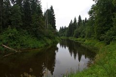 Балтийский берег 313.JPG
