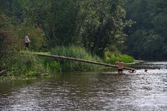 Балтийский берег 347.JPG