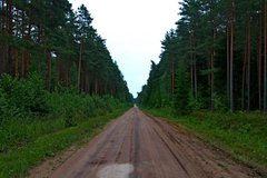 Балтийский берег 416.JPG
