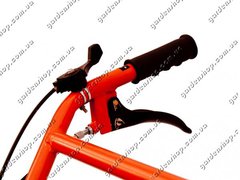 598_8[1].jpg