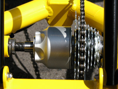 anura2.jpg