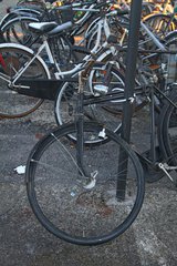 IMG_8554.JPG