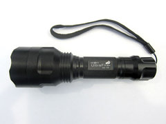 C8-T6_3313.jpg