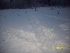100_3652.JPG
