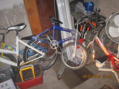 IMG_2666+.jpg