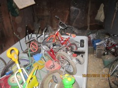 IMG_2675+.jpg
