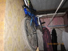 IMG_2678+.jpg