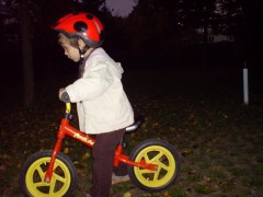 DSC01441.JPG