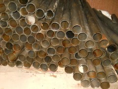DSCN0250.JPG