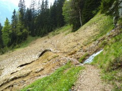 DSCF2268.JPG