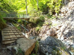 DSCF2182.JPG