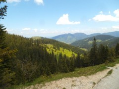 DSCF2218.JPG