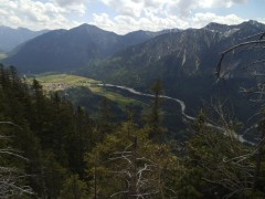 DSCF2227.JPG