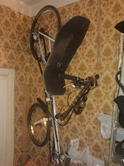 IMG_20130610_011358.jpg
