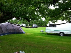 20130629_094527.jpg